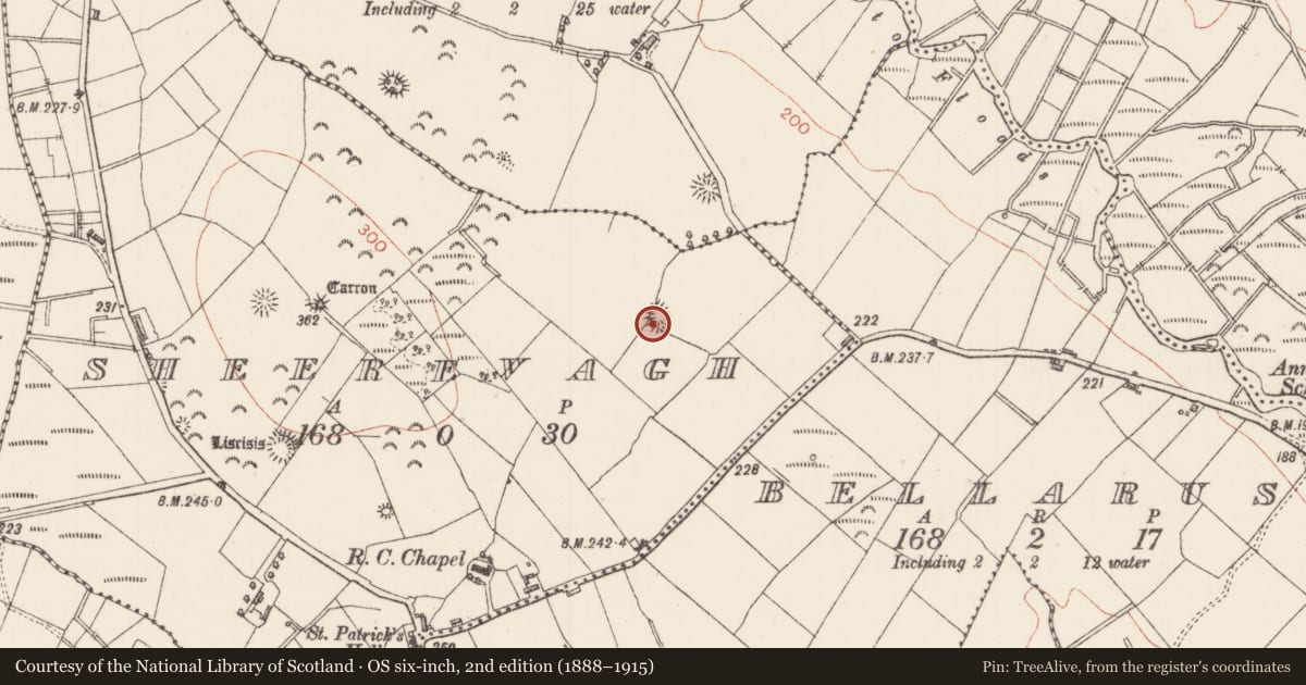 Ordnance Survey six-inch map, 2nd edition (1888–1915) covering the location of Ringfort - rath, Sheerevagh, County Sligo, with a pin at the register's coordinates