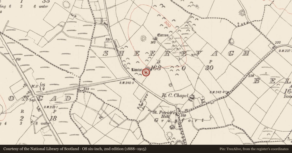 Ordnance Survey six-inch map, 2nd edition (1888–1915) covering the location of Ringfort - rath, Sheerevagh, County Sligo, with a pin at the register's coordinates