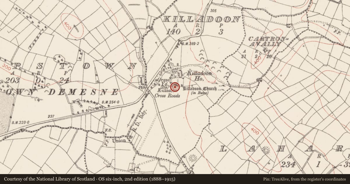 Ordnance Survey six-inch map, 2nd edition (1888–1915) covering the location of Church, Killadoon, County Sligo, with a pin at the register's coordinates