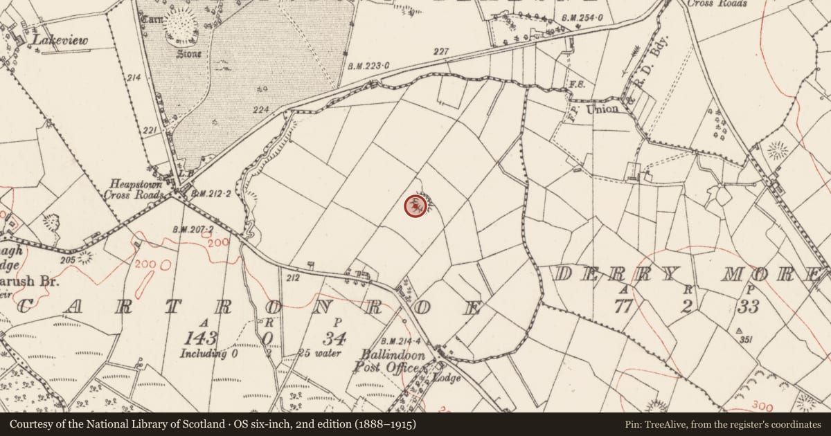 Ordnance Survey six-inch map, 2nd edition (1888–1915) covering the location of Ringfort - rath, Cartronroe, County Sligo, with a pin at the register's coordinates