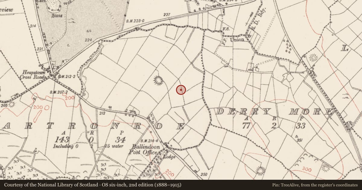 Ordnance Survey six-inch map, 2nd edition (1888–1915) covering the location of Ringfort - rath, Cartronroe, County Sligo, with a pin at the register's coordinates