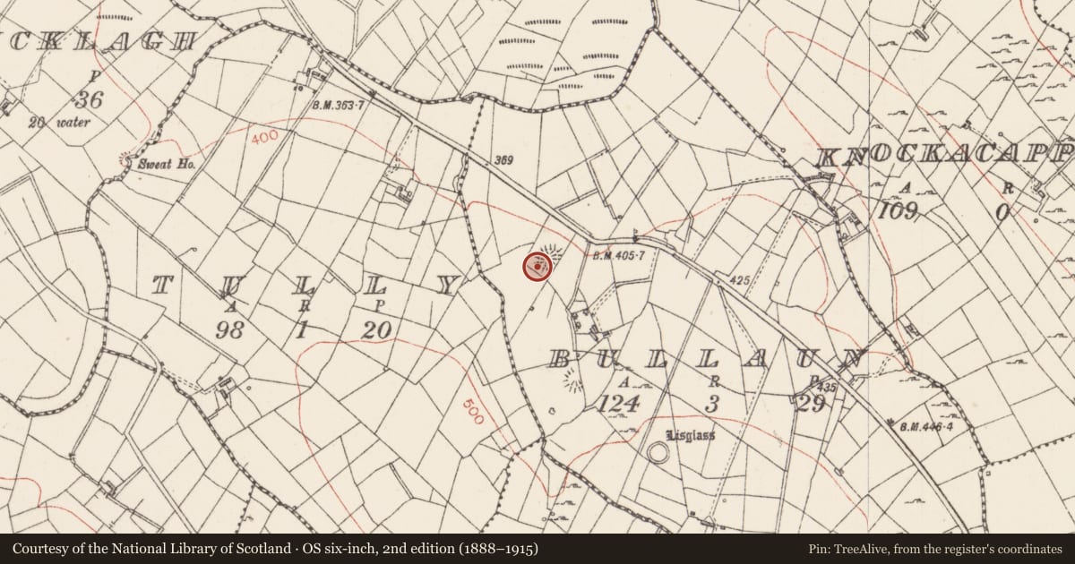Ordnance Survey six-inch map, 2nd edition (1888–1915) covering the location of Ringfort - rath, Bullaun, County Sligo, with a pin at the register's coordinates