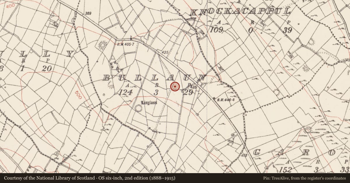 Ordnance Survey six-inch map, 2nd edition (1888–1915) covering the location of Ringfort - rath, Bullaun, County Sligo, with a pin at the register's coordinates