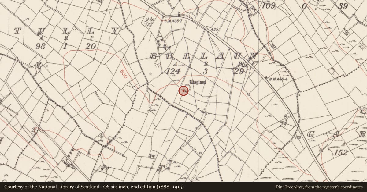Ordnance Survey six-inch map, 2nd edition (1888–1915) covering the location of Barrow - stepped barrow, Bullaun, County Sligo, with a pin at the register's coordinates