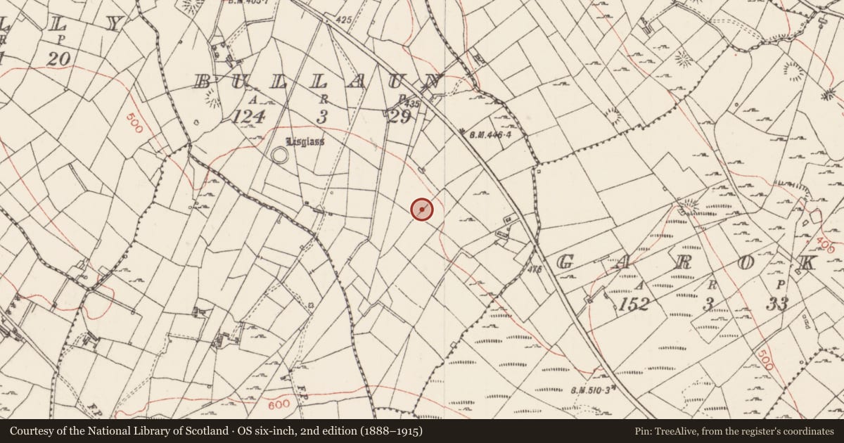 Ordnance Survey six-inch map, 2nd edition (1888–1915) covering the location of Enclosure, Bullaun, County Sligo, with a pin at the register's coordinates