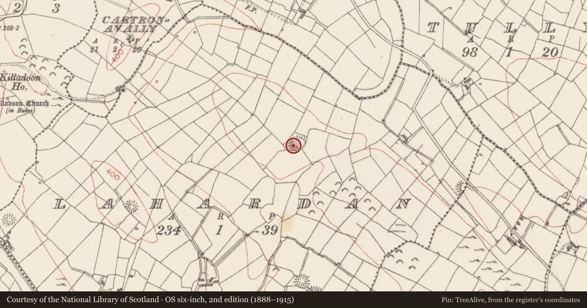 Ordnance Survey six-inch map, 2nd edition (1888–1915) covering the location of Ringfort - rath, Lahardan, County Sligo, with a pin at the register's coordinates