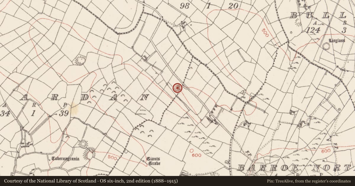 Ordnance Survey six-inch map, 2nd edition (1888–1915) covering the location of Ringfort - rath, Lahardan, County Sligo, with a pin at the register's coordinates