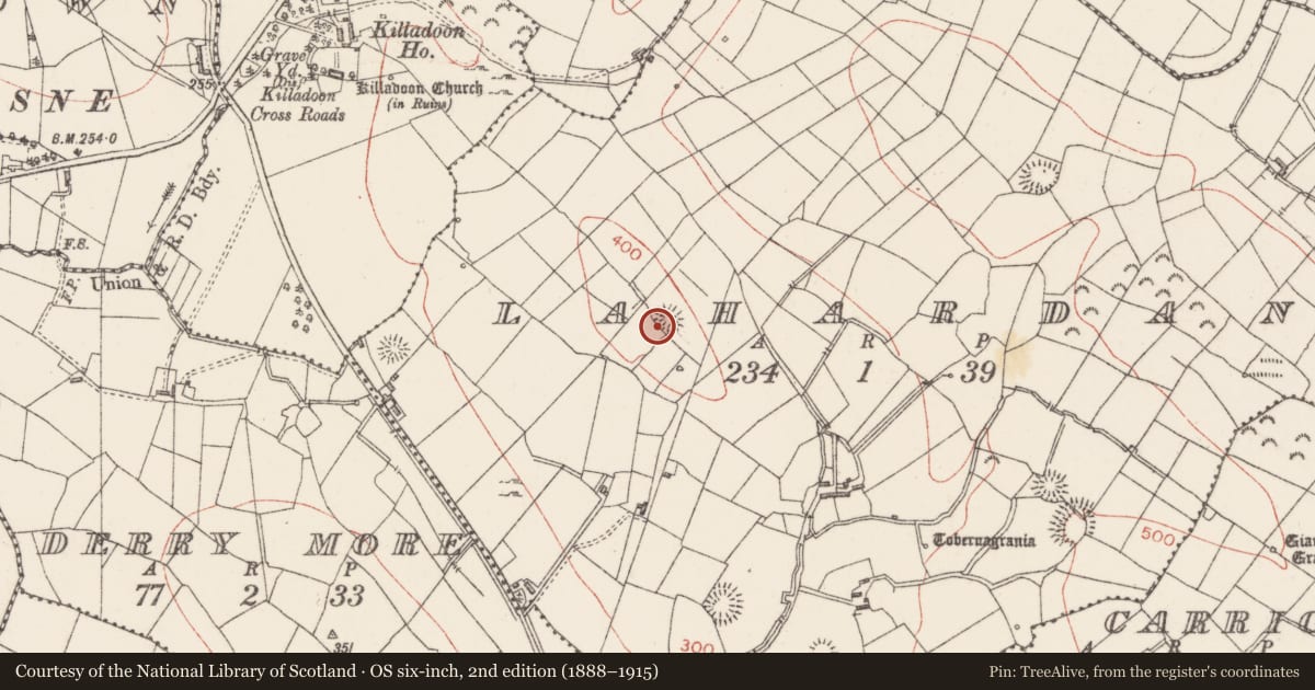 Ordnance Survey six-inch map, 2nd edition (1888–1915) covering the location of Ringfort - rath, Lahardan, County Sligo, with a pin at the register's coordinates