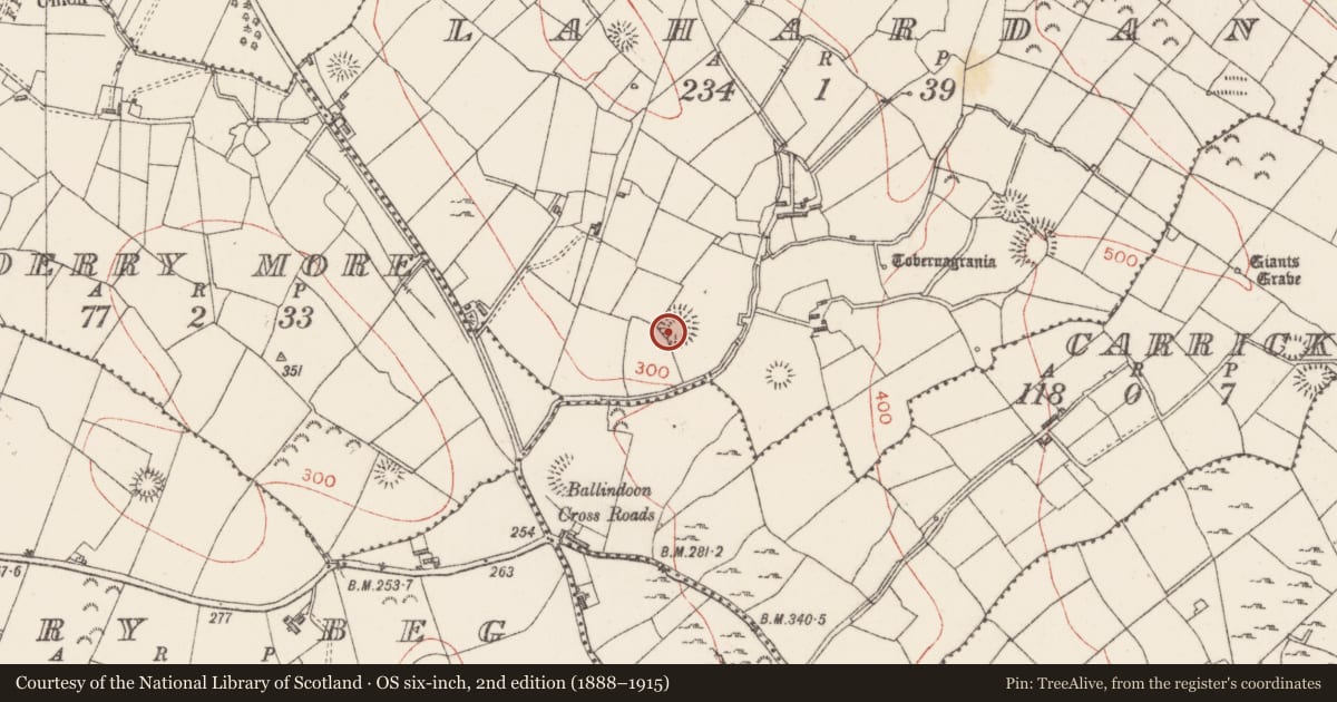 Ordnance Survey six-inch map, 2nd edition (1888–1915) covering the location of Ringfort - rath, Lahardan, County Sligo, with a pin at the register's coordinates