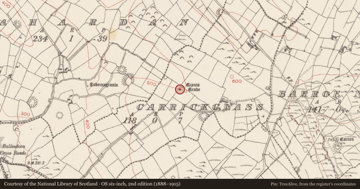 Ordnance Survey six-inch map, 2nd edition (1888–1915) covering the location of Megalithic tomb - portal tomb, Carrickglass, County Sligo, with a pin at the register's coordinates