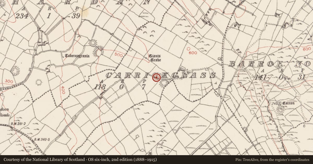Ordnance Survey six-inch map, 2nd edition (1888–1915) covering the location of Ringfort - rath, Carrickglass, County Sligo, with a pin at the register's coordinates
