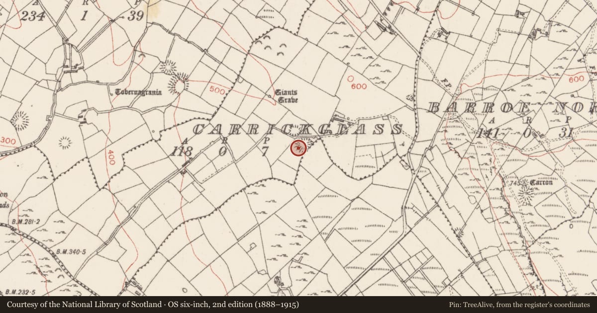 Ordnance Survey six-inch map, 2nd edition (1888–1915) covering the location of Ringfort - rath, Carrickglass, County Sligo, with a pin at the register's coordinates