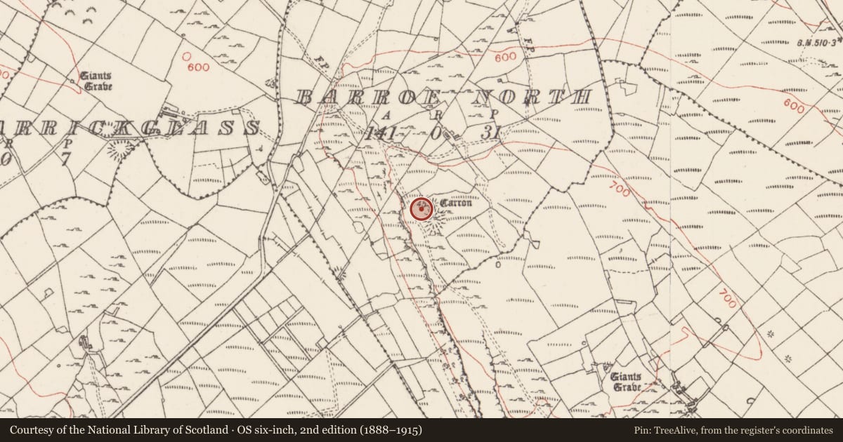 Ordnance Survey six-inch map, 2nd edition (1888–1915) covering the location of Megalithic tomb - passage tomb, Barroe North, County Sligo, with a pin at the register's coordinates
