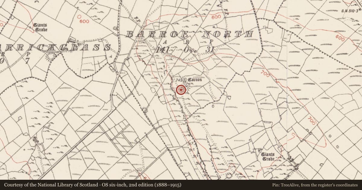 Ordnance Survey six-inch map, 2nd edition (1888–1915) covering the location of Enclosure, Barroe North, County Sligo, with a pin at the register's coordinates