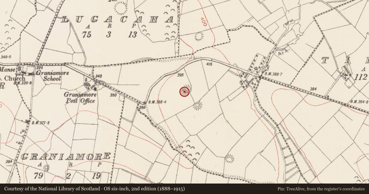Ordnance Survey six-inch map, 2nd edition (1888–1915) covering the location of Ringfort - rath, Lisdoogan, County Sligo, with a pin at the register's coordinates