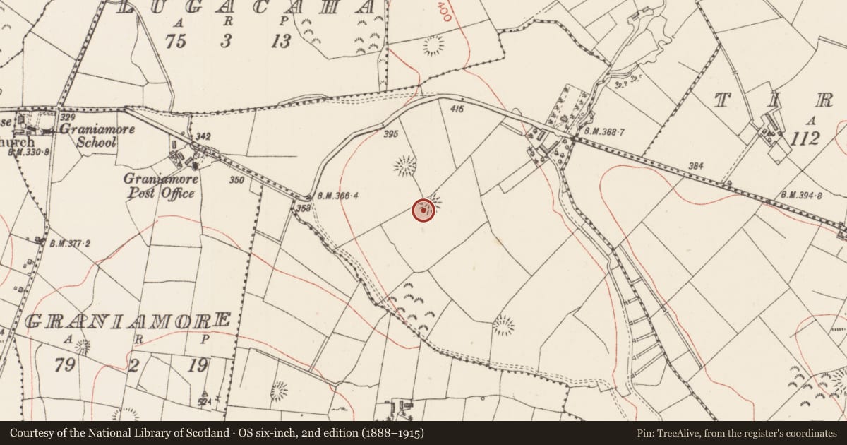 Ordnance Survey six-inch map, 2nd edition (1888–1915) covering the location of Ringfort - rath, Lisdoogan, County Sligo, with a pin at the register's coordinates
