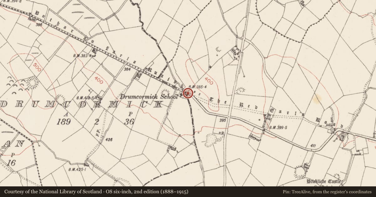 Ordnance Survey six-inch map, 2nd edition (1888–1915) covering the location of Road - road/trackway, County Sligo, with a pin at the register's coordinates