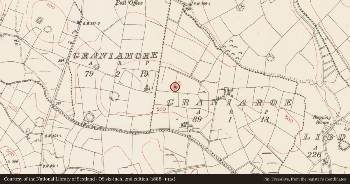 Ordnance Survey six-inch map, 2nd edition (1888–1915) covering the location of Ringfort - rath, Graniaroe, County Sligo, with a pin at the register's coordinates