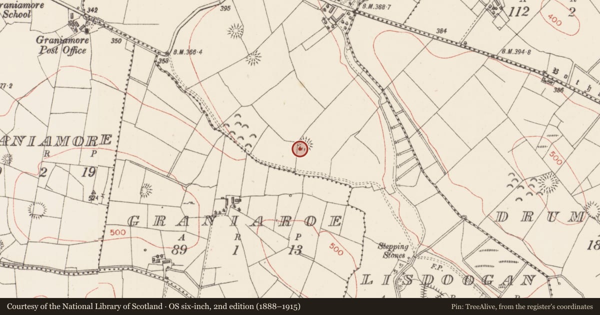 Ordnance Survey six-inch map, 2nd edition (1888–1915) covering the location of Ringfort - rath, Lisdoogan, County Sligo, with a pin at the register's coordinates