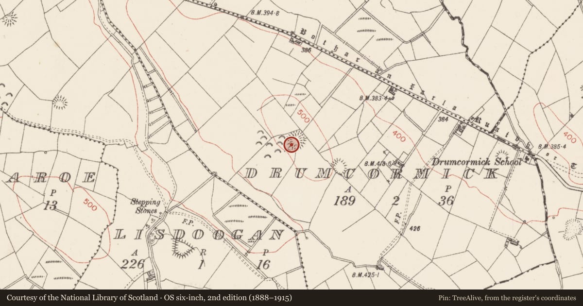 Ordnance Survey six-inch map, 2nd edition (1888–1915) covering the location of Ringfort - rath, Drumcormick, County Sligo, with a pin at the register's coordinates