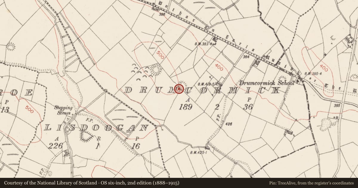 Ordnance Survey six-inch map, 2nd edition (1888–1915) covering the location of Ringfort - rath, Drumcormick, County Sligo, with a pin at the register's coordinates