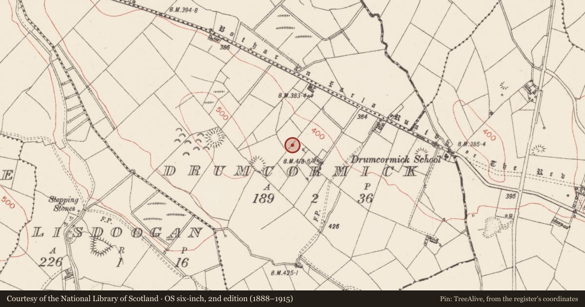 Ordnance Survey six-inch map, 2nd edition (1888–1915) covering the location of Ringfort - rath, Drumcormick, County Sligo, with a pin at the register's coordinates