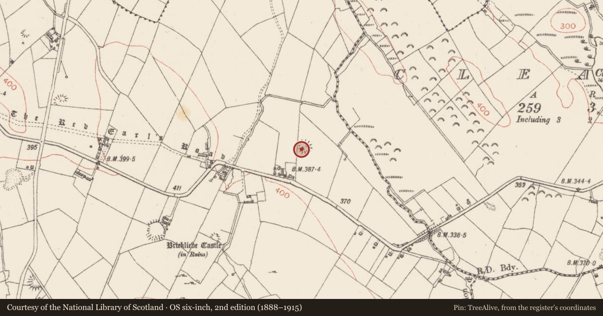Ordnance Survey six-inch map, 2nd edition (1888–1915) covering the location of Ringfort - rath, Bricklieve, County Sligo, with a pin at the register's coordinates