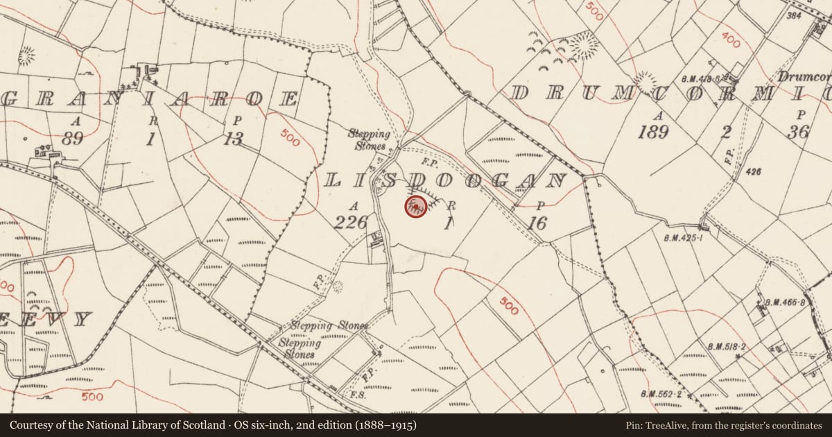Ordnance Survey six-inch map, 2nd edition (1888–1915) covering the location of Enclosure, Lisdoogan, County Sligo, with a pin at the register's coordinates