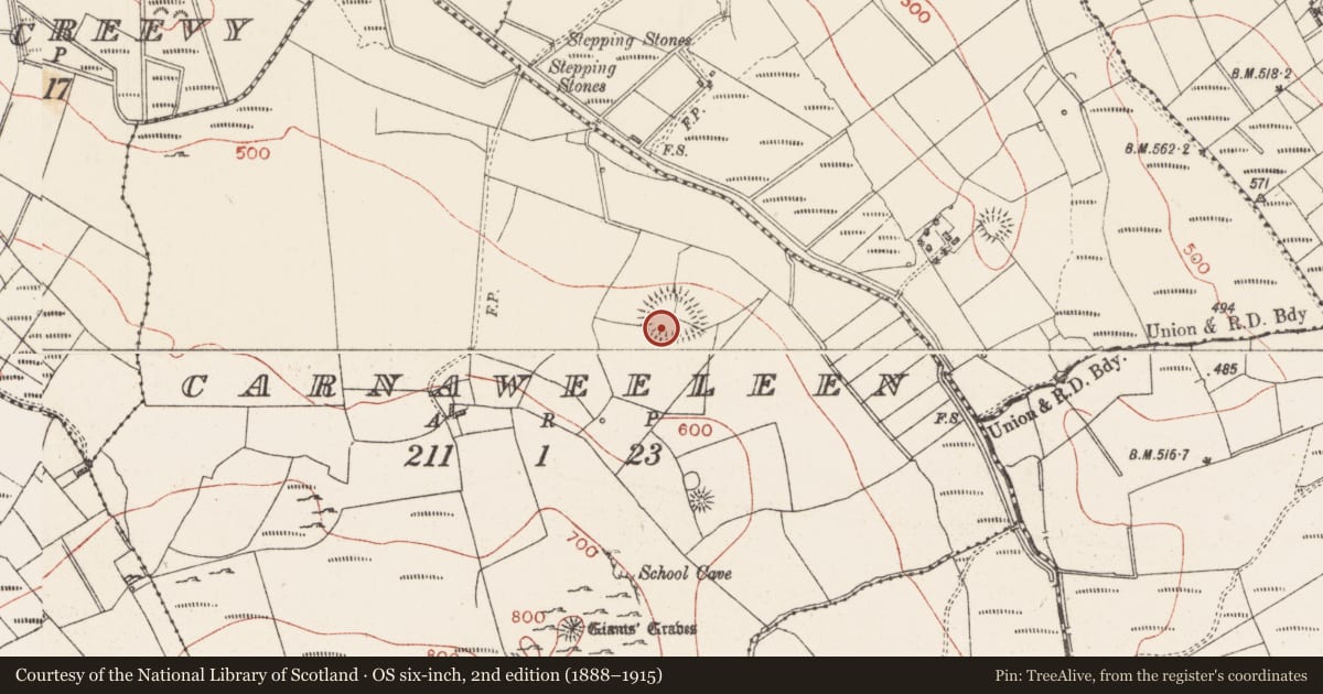 Ordnance Survey six-inch map, 2nd edition (1888–1915) covering the location of Enclosure, Carnaweeleen, County Sligo, with a pin at the register's coordinates