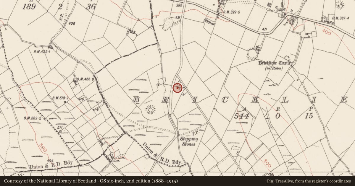 Ordnance Survey six-inch map, 2nd edition (1888–1915) covering the location of Ringfort - rath, Bricklieve, County Sligo, with a pin at the register's coordinates