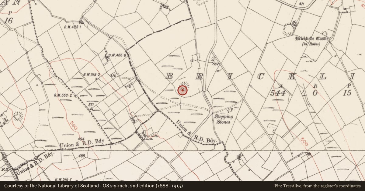 Ordnance Survey six-inch map, 2nd edition (1888–1915) covering the location of Ringfort - rath, Bricklieve, County Sligo, with a pin at the register's coordinates