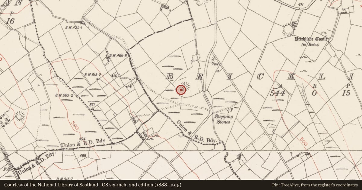 Ordnance Survey six-inch map, 2nd edition (1888–1915) covering the location of Souterrain, Bricklieve, County Sligo, with a pin at the register's coordinates