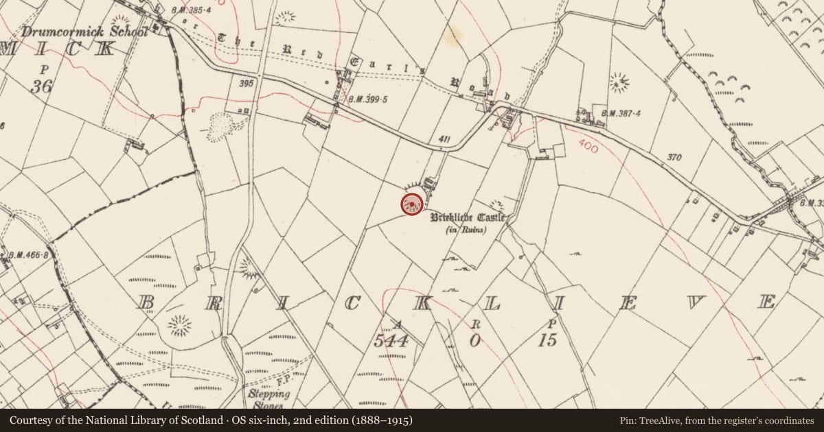 Ordnance Survey six-inch map, 2nd edition (1888–1915) covering the location of Ringfort - rath, Bricklieve, County Sligo, with a pin at the register's coordinates