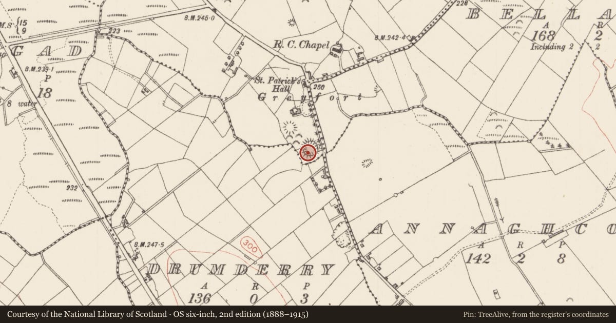 Ordnance Survey six-inch map, 2nd edition (1888–1915) covering the location of Ringfort - rath, Sheerevagh, County Sligo, with a pin at the register's coordinates