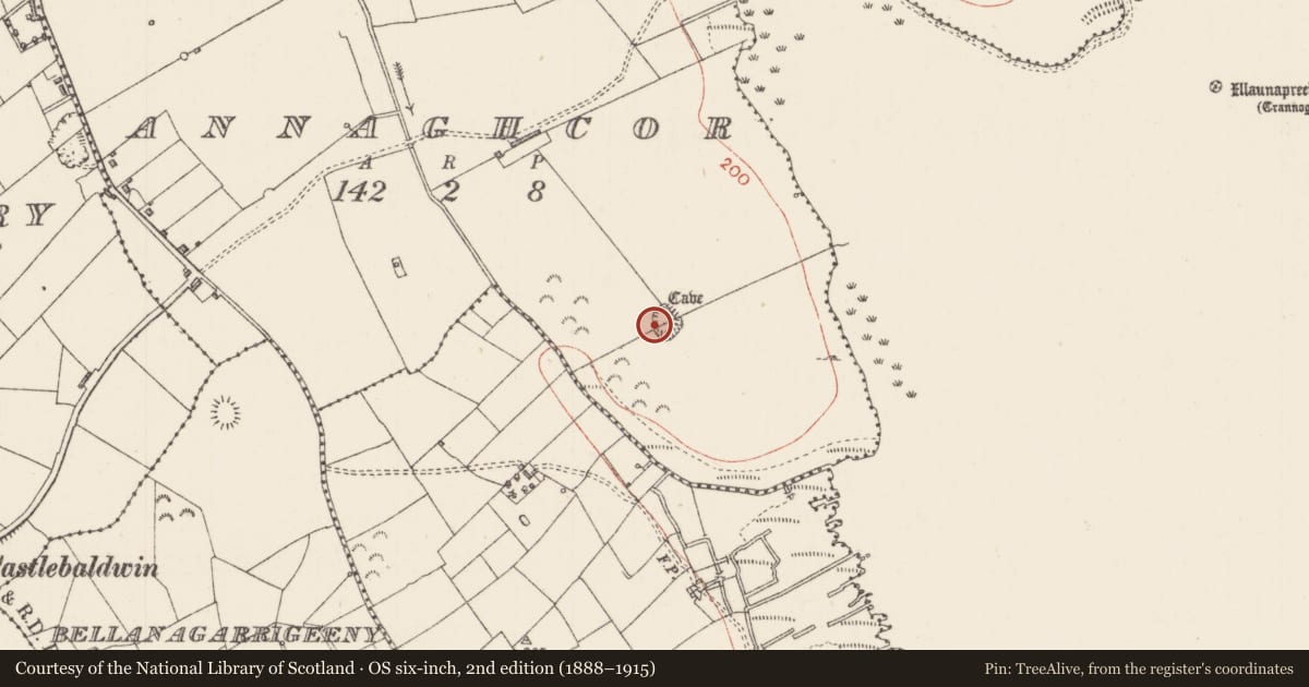 Ordnance Survey six-inch map, 2nd edition (1888–1915) covering the location of Ringfort - rath, Annaghcor, County Sligo, with a pin at the register's coordinates