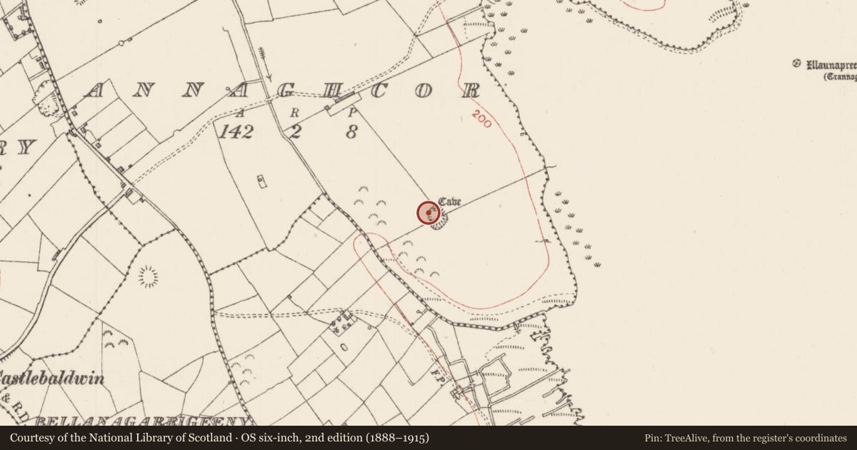 Ordnance Survey six-inch map, 2nd edition (1888–1915) covering the location of Souterrain, Annaghcor, County Sligo, with a pin at the register's coordinates
