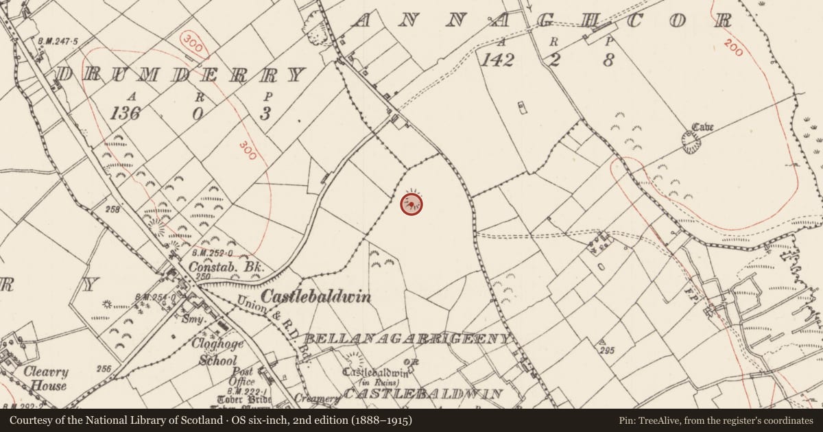 Ordnance Survey six-inch map, 2nd edition (1888–1915) covering the location of Ringfort - rath, Bellanagarrigeeny Or Castlebaldwin, County Sligo, with a pin at the register's coordinates