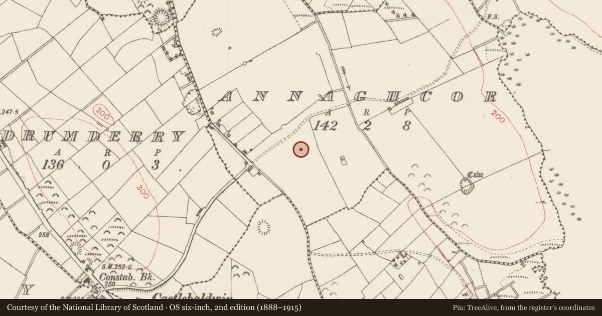 Ordnance Survey six-inch map, 2nd edition (1888–1915) covering the location of Enclosure, Annaghcor, County Sligo, with a pin at the register's coordinates