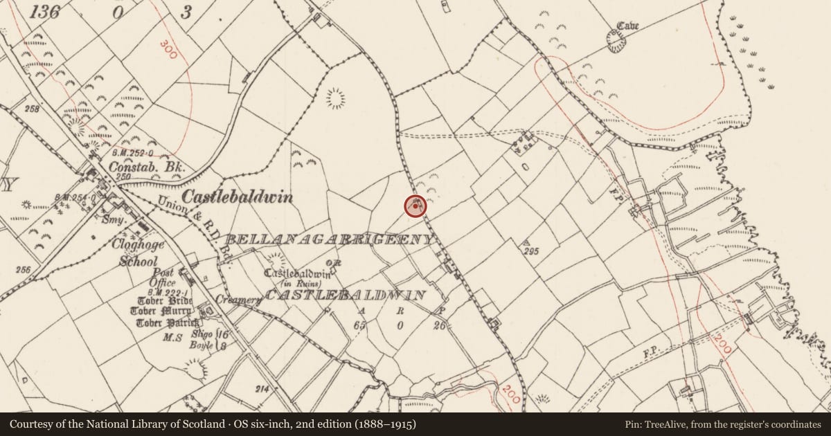 Ordnance Survey six-inch map, 2nd edition (1888–1915) covering the location of Holed stone, Brickeen, County Sligo, with a pin at the register's coordinates