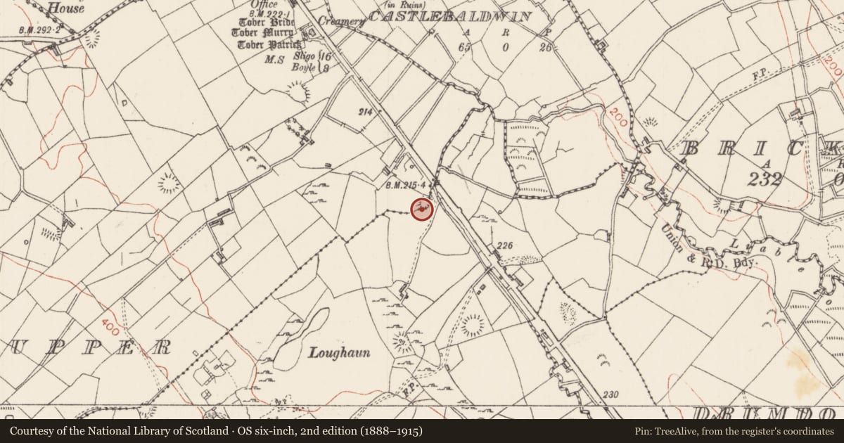 Ordnance Survey six-inch map, 2nd edition (1888–1915) covering the location of Enclosure, Cloghoge Upper, County Sligo, with a pin at the register's coordinates