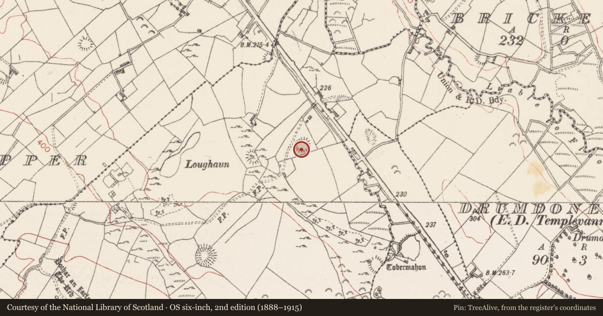 Ordnance Survey six-inch map, 2nd edition (1888–1915) covering the location of Hut site, Cloghoge Lower, County Sligo, with a pin at the register's coordinates