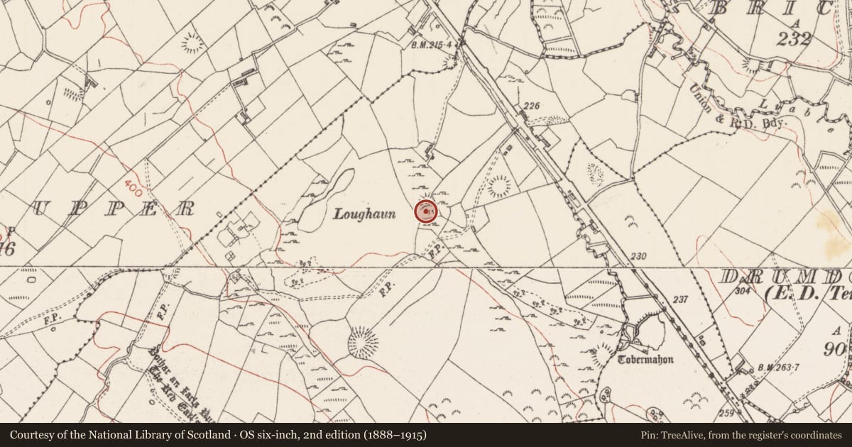 Ordnance Survey six-inch map, 2nd edition (1888–1915) covering the location of Ringfort - rath, Cloghoge Lower, County Sligo, with a pin at the register's coordinates