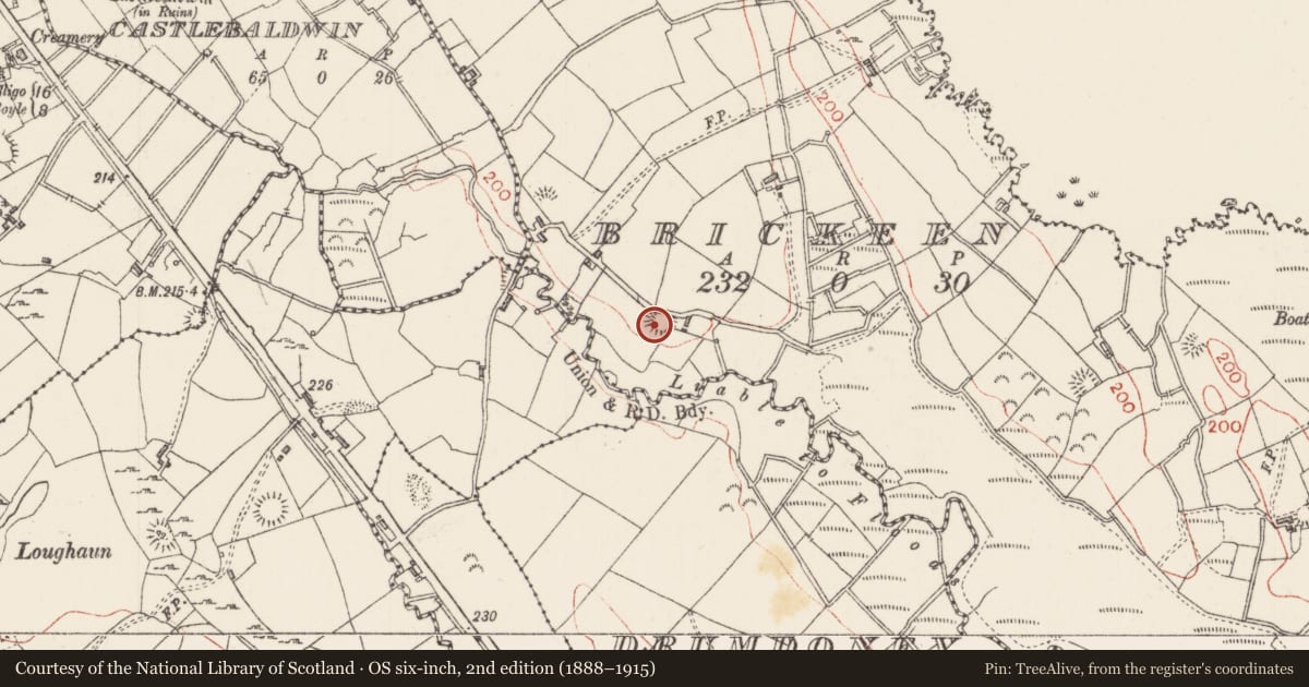 Ordnance Survey six-inch map, 2nd edition (1888–1915) covering the location of Ringfort - rath, Brickeen, County Sligo, with a pin at the register's coordinates