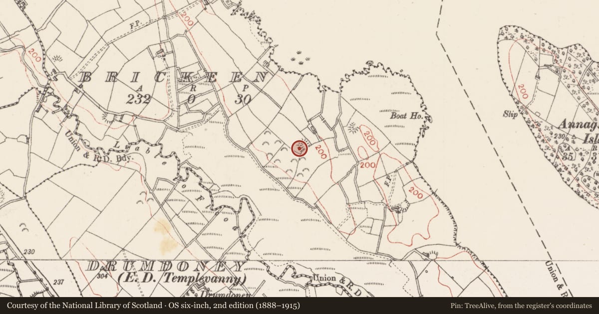 Ordnance Survey six-inch map, 2nd edition (1888–1915) covering the location of Hut site, Brickeen, County Sligo, with a pin at the register's coordinates