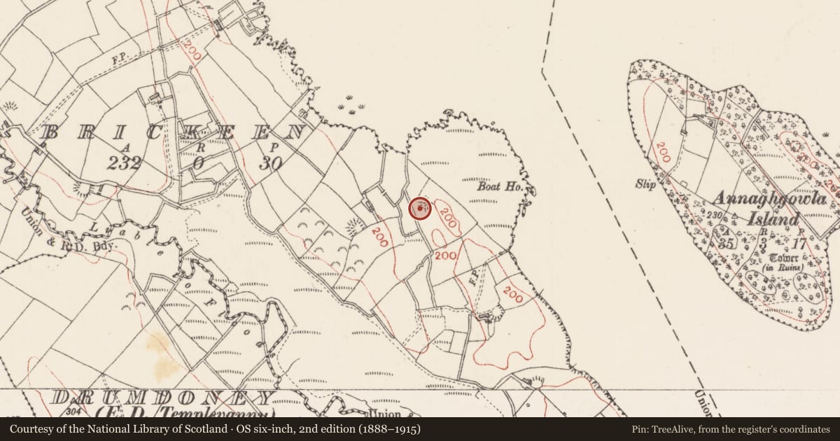 Ordnance Survey six-inch map, 2nd edition (1888–1915) covering the location of Ringfort - rath, Brickeen, County Sligo, with a pin at the register's coordinates