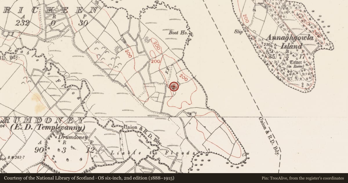 Ordnance Survey six-inch map, 2nd edition (1888–1915) covering the location of Ringfort - rath, Brickeen, County Sligo, with a pin at the register's coordinates