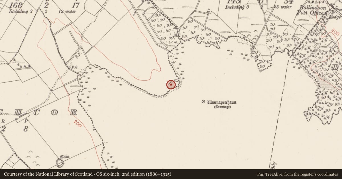 Ordnance Survey six-inch map, 2nd edition (1888–1915) covering the location of Enclosure, Bellarush, County Sligo, with a pin at the register's coordinates