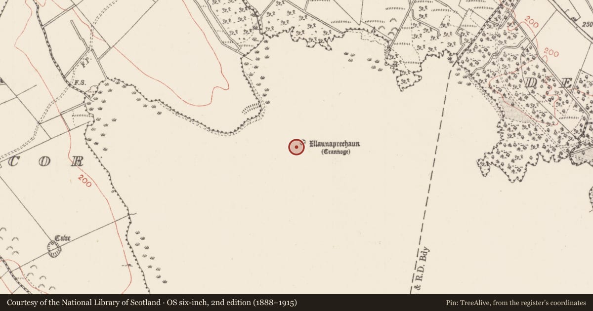 Ordnance Survey six-inch map, 2nd edition (1888–1915) covering the location of Crannog, Lough Arrow, County Sligo, with a pin at the register's coordinates