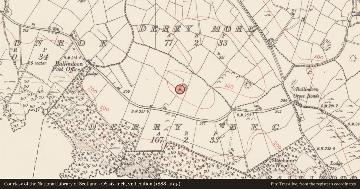 Ordnance Survey six-inch map, 2nd edition (1888–1915) covering the location of Ringfort - rath, Derrybeg, County Sligo, with a pin at the register's coordinates