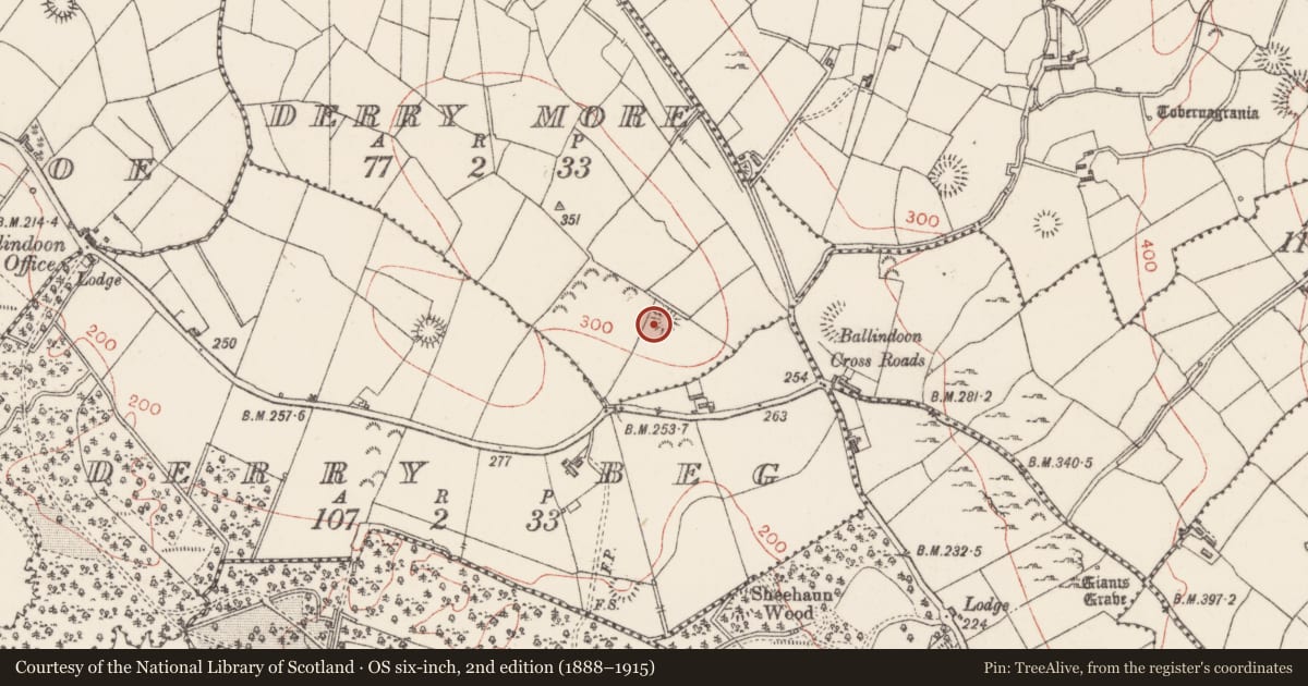 Ordnance Survey six-inch map, 2nd edition (1888–1915) covering the location of Ringfort - rath, Derry More, County Sligo, with a pin at the register's coordinates
